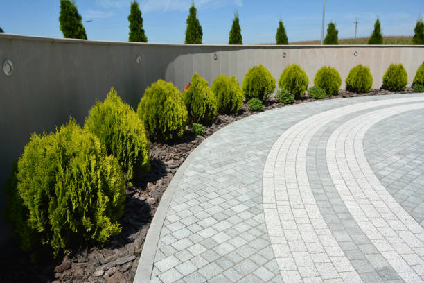 Best Cobblestone Driveway Pavers  in Covington, KY